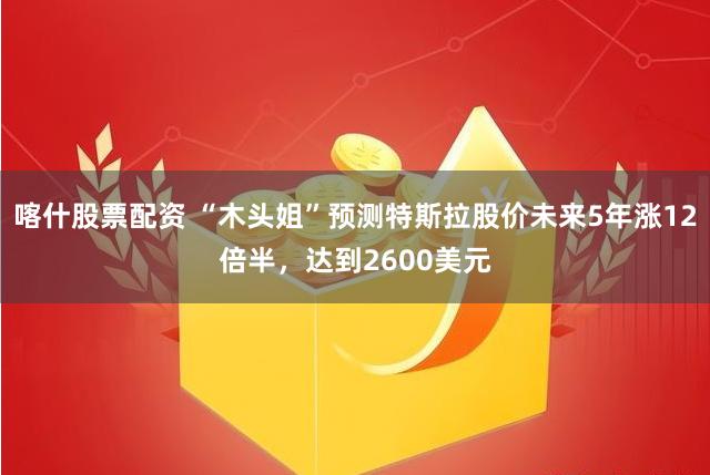 喀什股票配资 “木头姐”预测特斯拉股价未来5年涨12倍半，达到2600美元