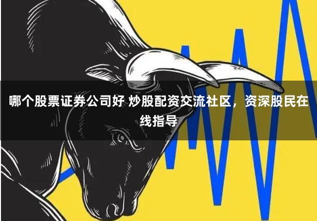 哪个股票证券公司好 炒股配资交流社区，资深股民在线指导